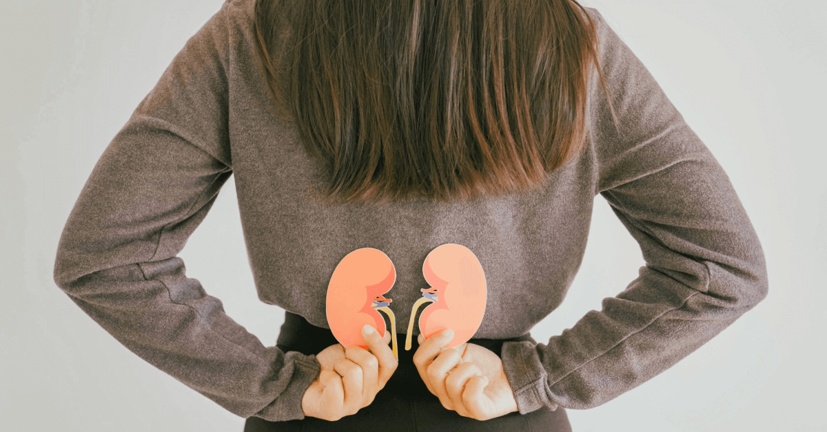 A vese funkciója, felépítése, szerepe