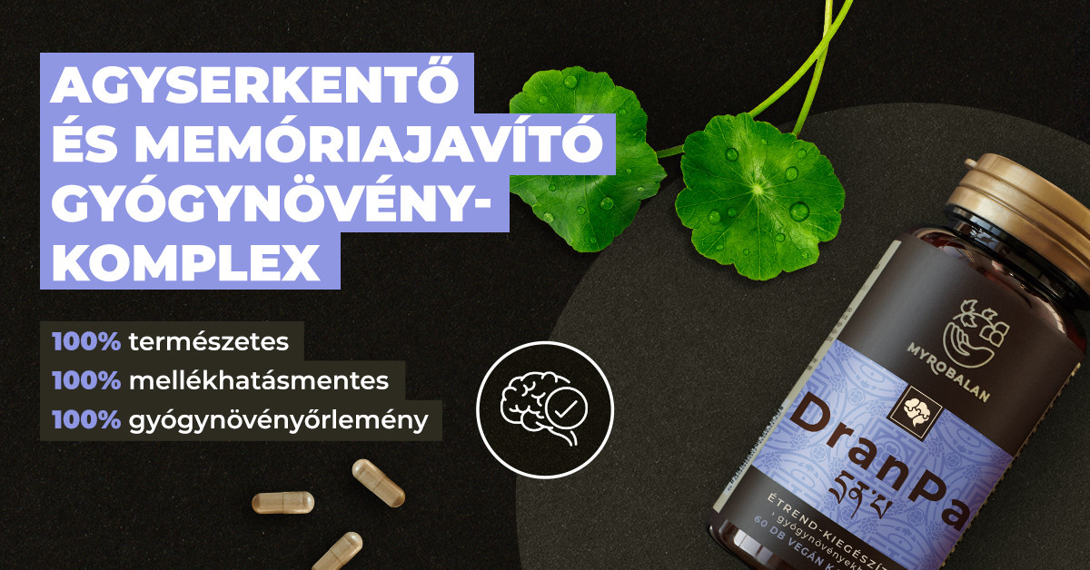 Hogyan őrizzük meg a szellemi frissességet?