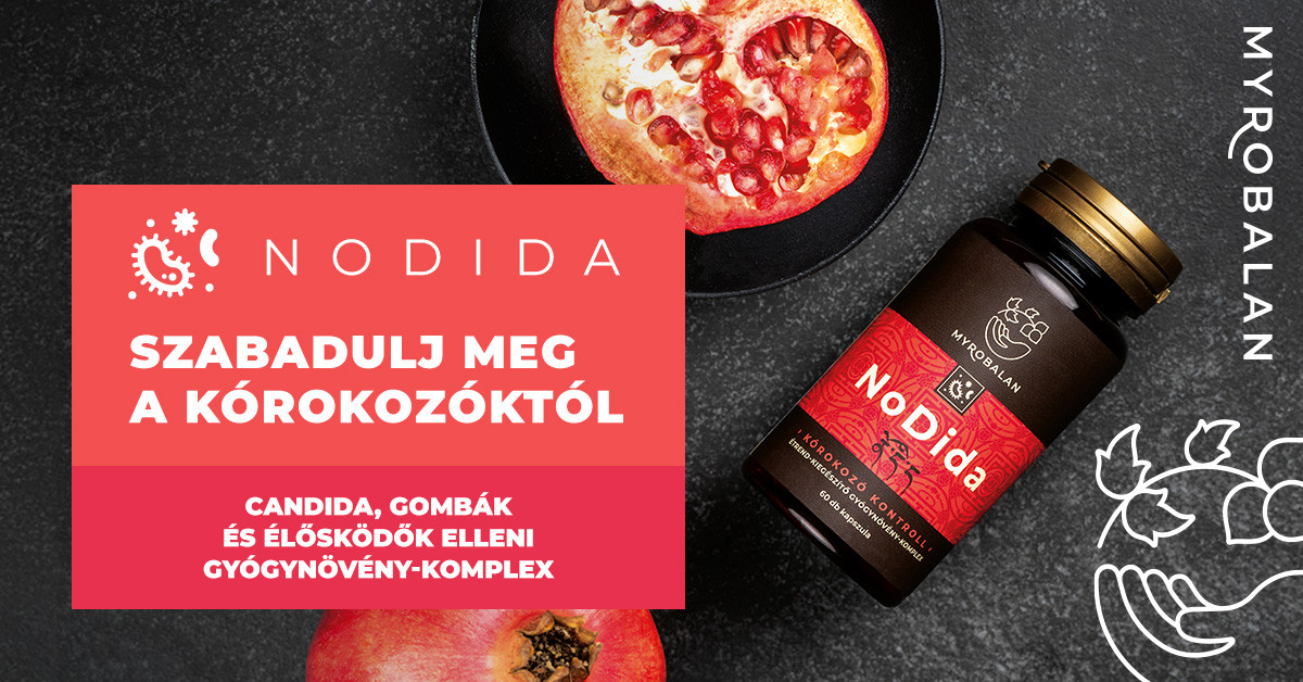 Hogyan őrizzük meg a szellemi frissességet?