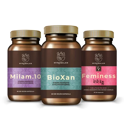 Relax-Klimax Day &amp; Night