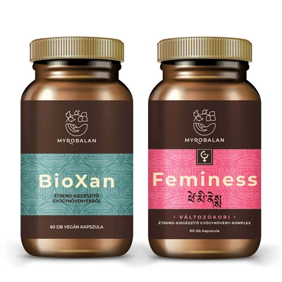 Relax-Klimax Day csomag