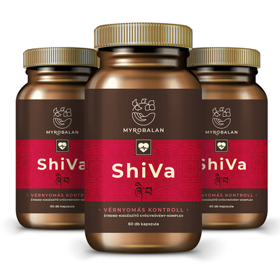 ShiVa vérnyomáscsökkentő gyógynövény kapszula 5% kedvezménnyel egész évben.