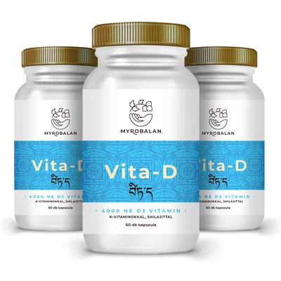 Vita-D K1+K2 vitaminokkal és shilajittal - 4000NE - 3 doboz
