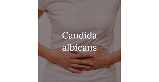 Candida-kisokos
