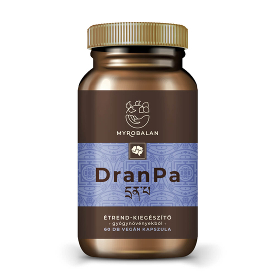 DranPa - 100% természetes agyserkentő és memóriajavító kapszula vény nélkül kapható