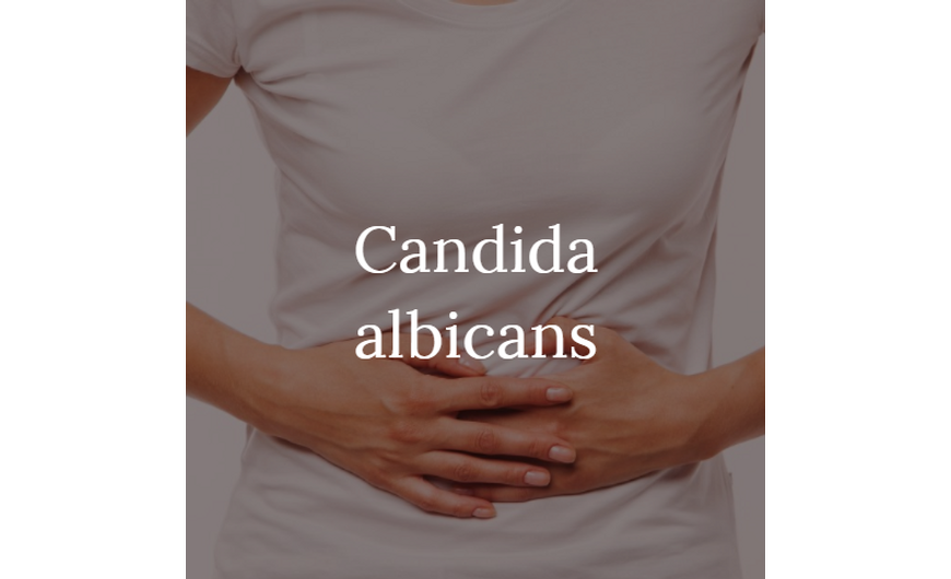 Candida-kisokos