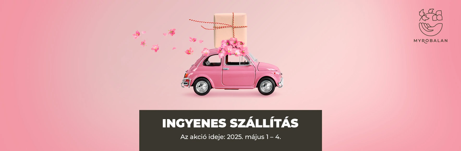 Ingyenes szállítás 2025