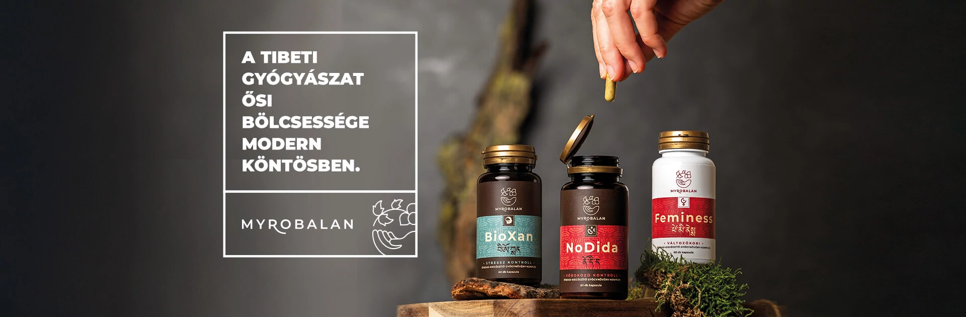Myrobalan - Magyar Term